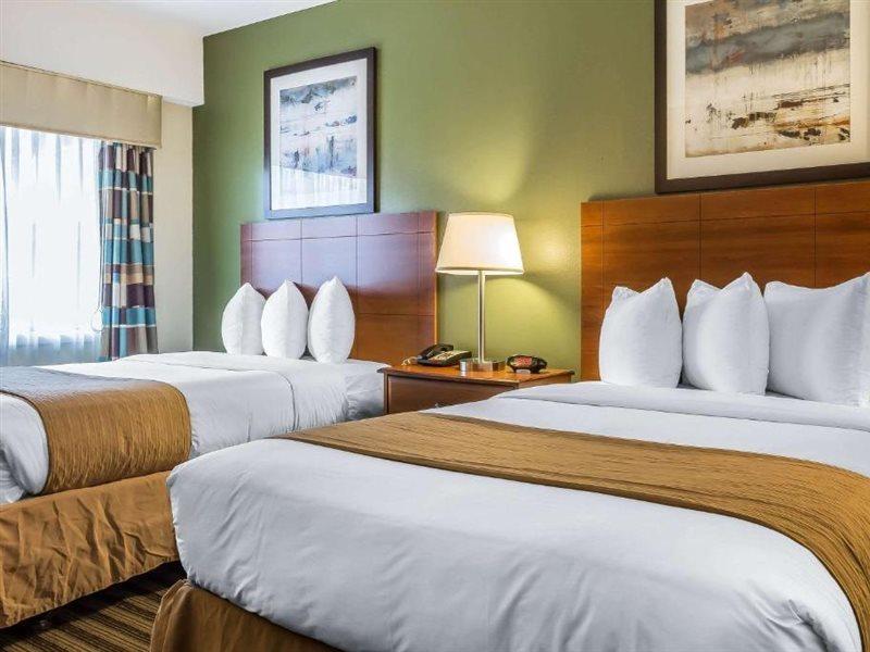 Inn Quality Flamingo 3*