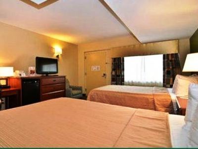 Quality Flamingo Inn 3*