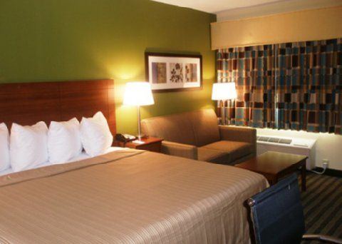 Inn Quality Flamingo